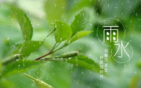 雨水节气的诗句有哪些(雨水节气诗词精选)