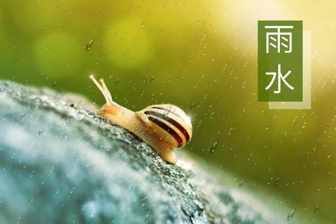 雨水节气的诗句有哪些(雨水节气诗词精选)
