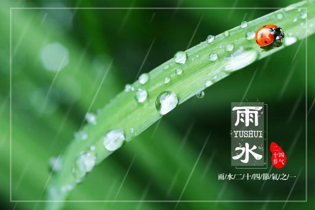 雨水节气的诗句有哪些(雨水节气诗词精选)