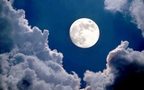 描写月亮的片段50字（描写月夜的优美段落摘抄）