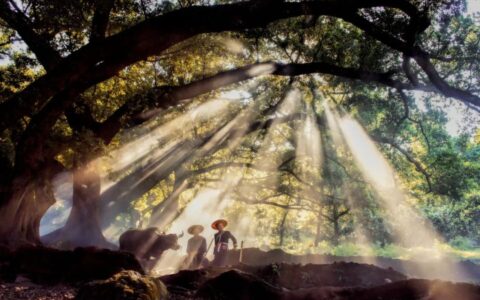 关于赞美劳动的古诗词（五一劳动节的优美句子）