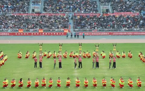 关于运动会的作文500字（运动会作文500字以上）