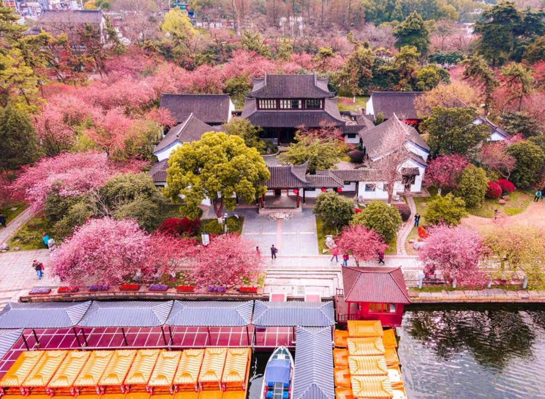 关于清明节的古诗大全（写清明节的古诗十首）
