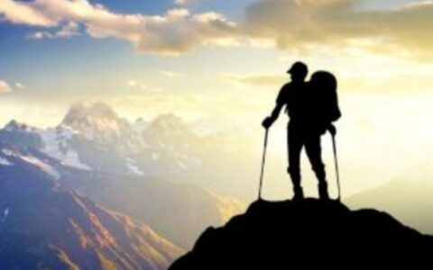 登高望四海解析与感悟（登高望四海翻译赏析）