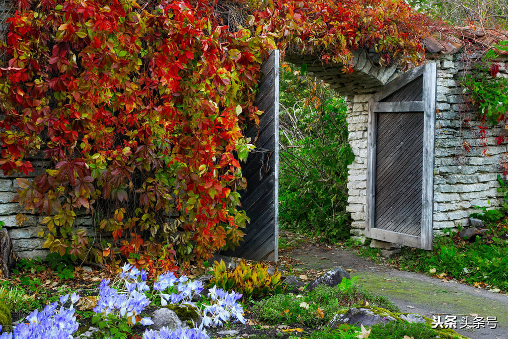 望海潮翻译及赏析（望海潮原文及注释）