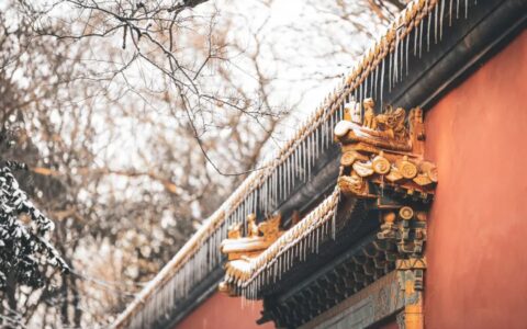 形容雪很美的诗句有哪些（雪花飘落的唯美句子）