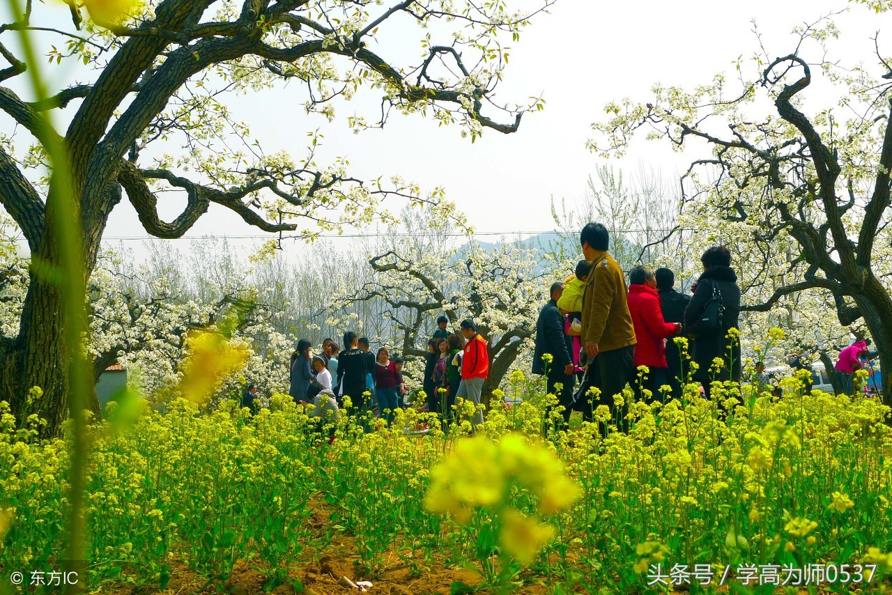 展望未来的诗句古诗（未来可期的正能量句子）