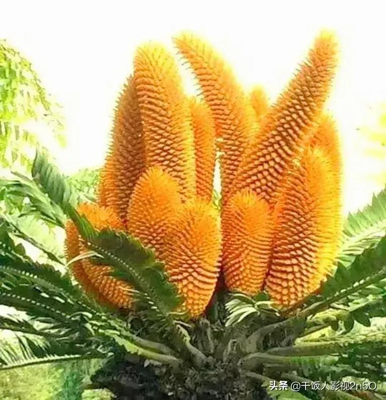 生日藏头诗祝福语（高情商的祝别人生日快乐）