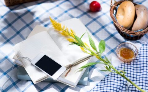 表达心情的诗句经典（高级有质感的句子）