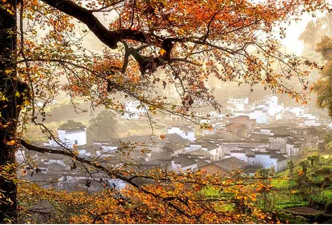 关于乡愁的诗句古诗（描写乡愁的唯美佳句）