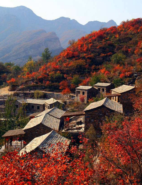 关于乡愁的诗句古诗（描写乡愁的唯美佳句）