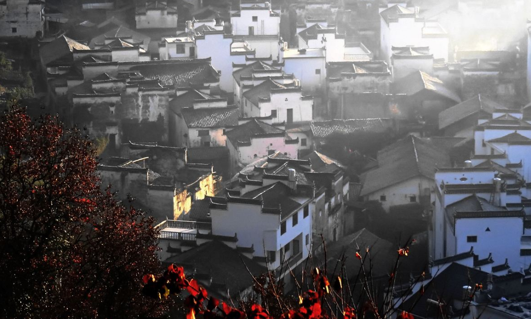 关于乡愁的诗句古诗（描写乡愁的唯美佳句）