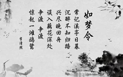 李清照的诗词全集赏析（千古第一才女李清照诗词鉴赏）