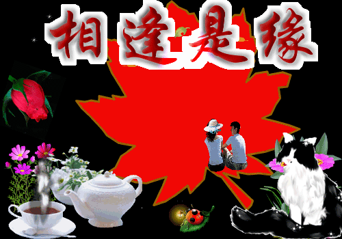 爱情藏头诗我永远爱你（很暖很撩人的句子）