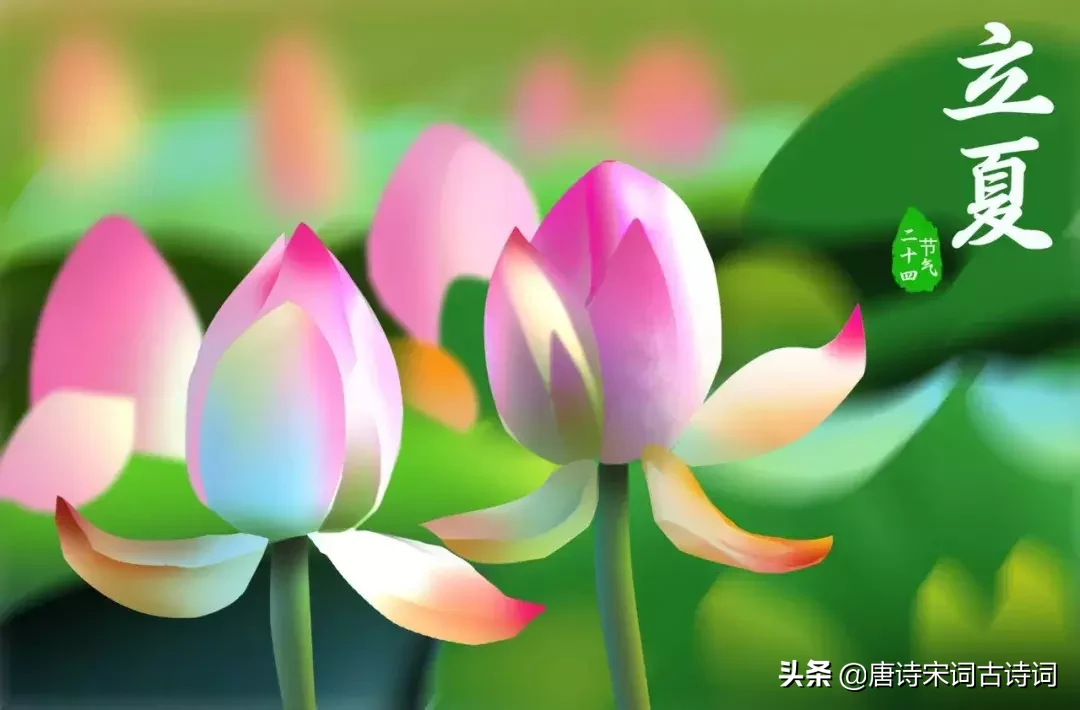 关于夏天的诗句古诗（十首描写夏天的古诗）
