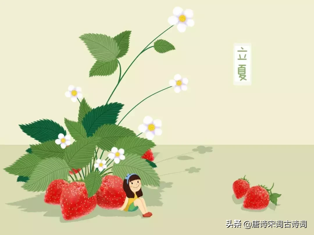 关于夏天的诗句古诗（十首描写夏天的古诗）
