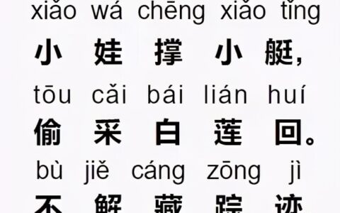 古诗池上的意思讲解（池上白居易赏析）