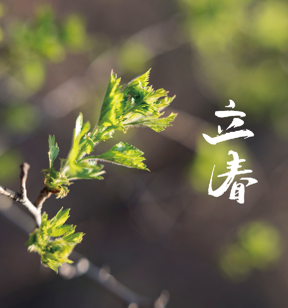 关于立春的诗句（赞美立春的名言名句）