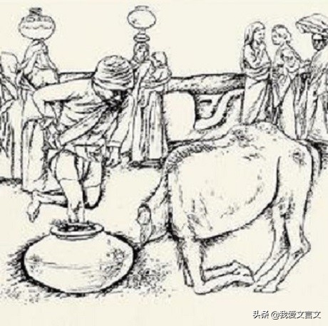 杀驼破瓮的文言文翻译（杀驼破瓮的启示）