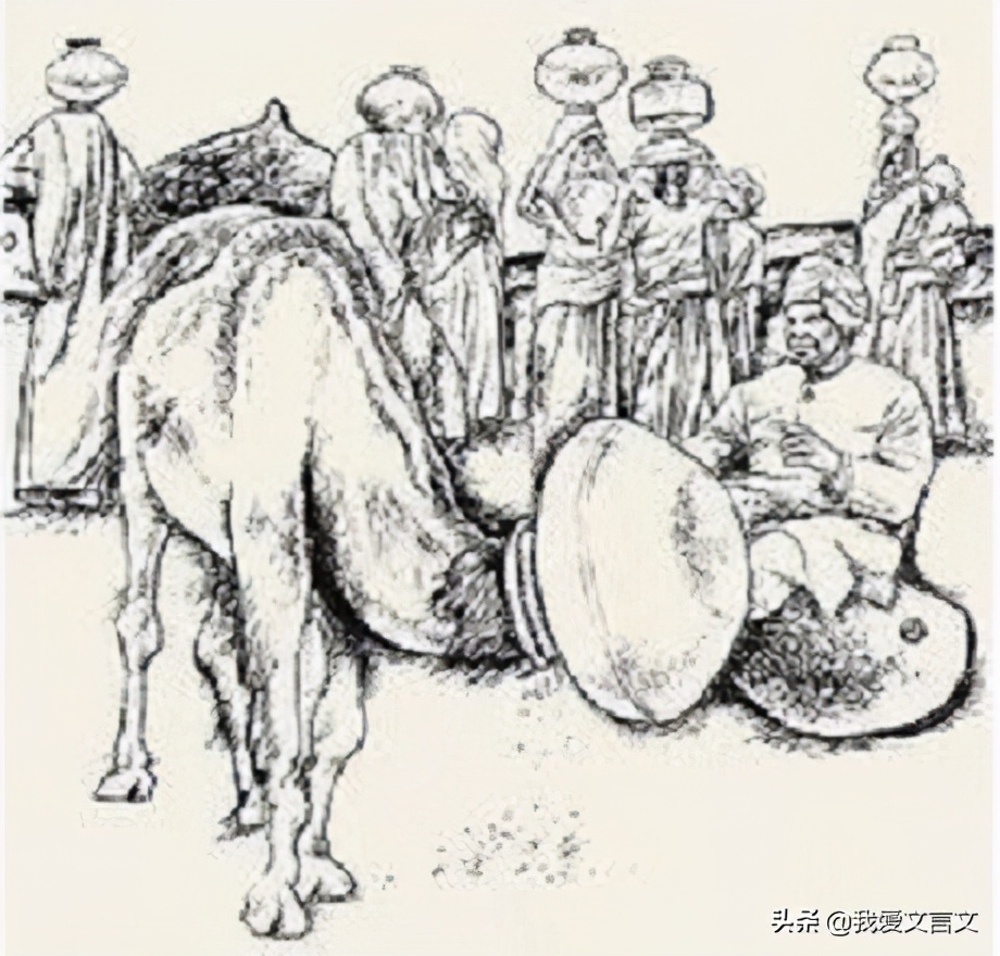 杀驼破瓮的文言文翻译（杀驼破瓮的启示）