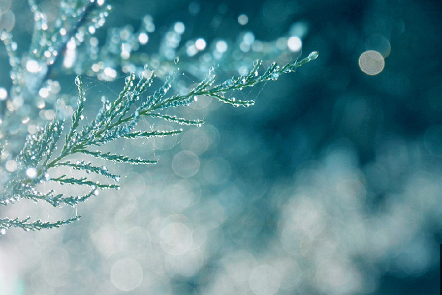 秋天的诗句古诗（赞美秋天景色的古诗）