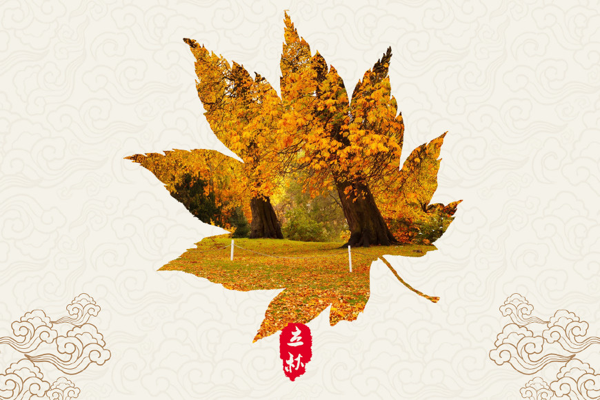 秋天的诗句古诗（赞美秋天景色的古诗）