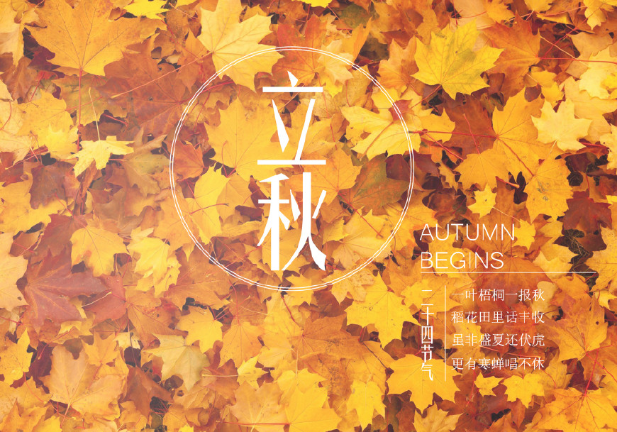 秋天的诗句古诗（赞美秋天景色的古诗）