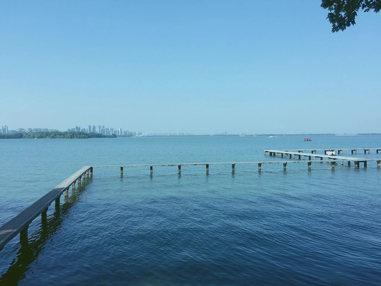 送别的诗词名句有什么（送别诗词名句经典）