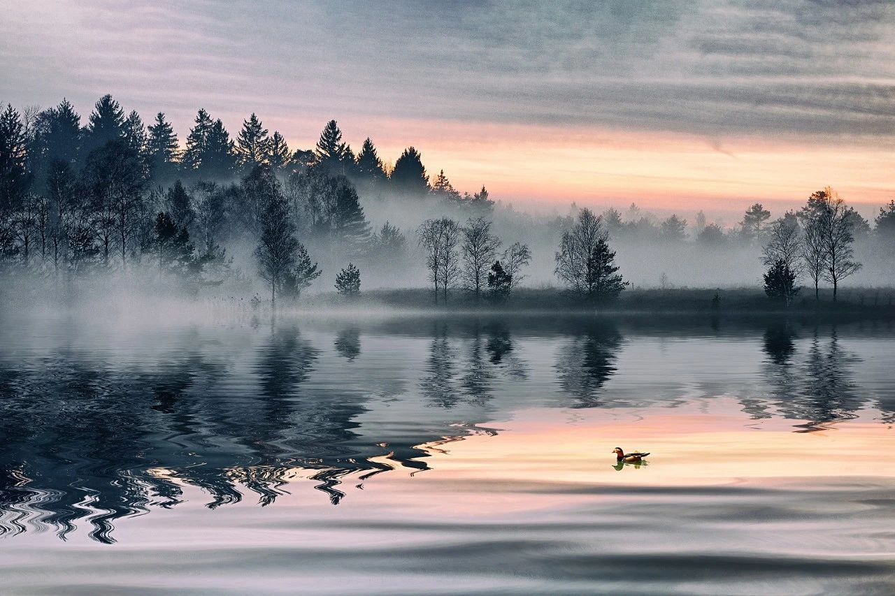 送别的诗词名句有什么（送别诗词名句经典）