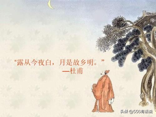 关于明月与故乡的诗句有哪些（借明月抒发思乡之情的诗）