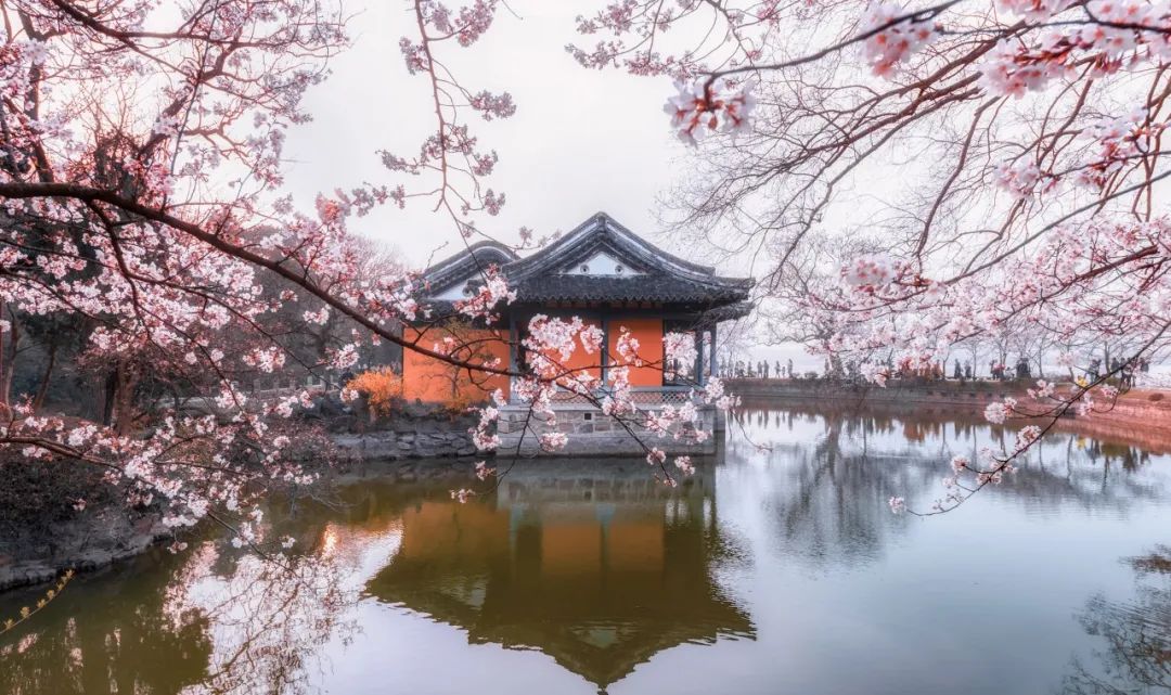 清明节古诗十首（清明节的经典古诗词）
