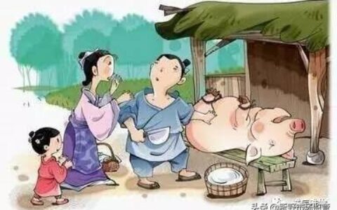 曾子杀猪的故事（曾子杀猪的寓言故事）