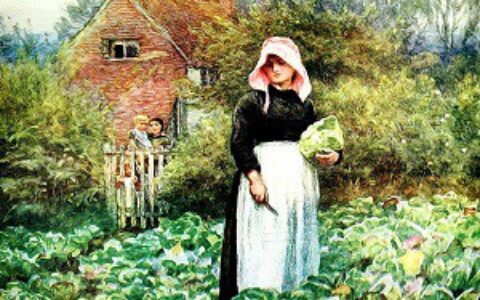 长发公主的故事（格林童话长发公主）