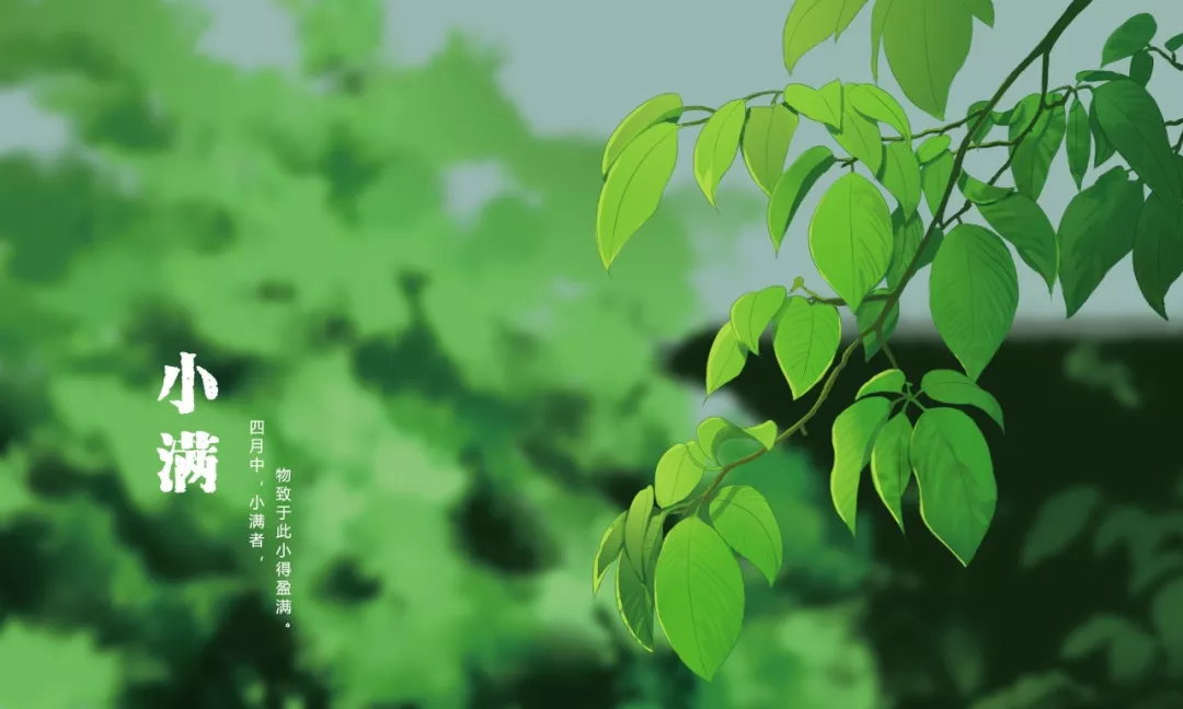 小满古诗有哪些（最经典的18首小满诗词）