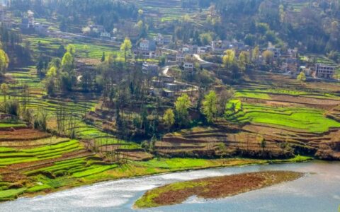 描写春天的唯美诗句古风（春天发朋友圈的精美句子）