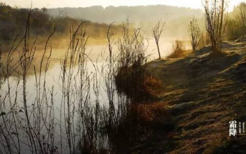 描写霜降的古诗四句有哪些（赞美霜的诗句古诗大全）