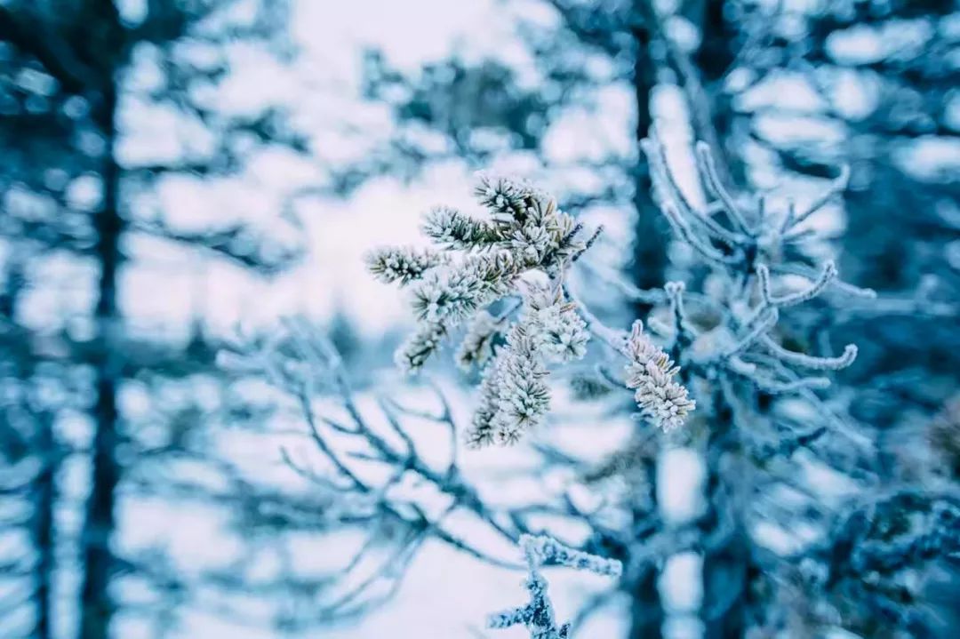 小学生描写雪的古诗20首（发朋友圈下雪幽默句子）