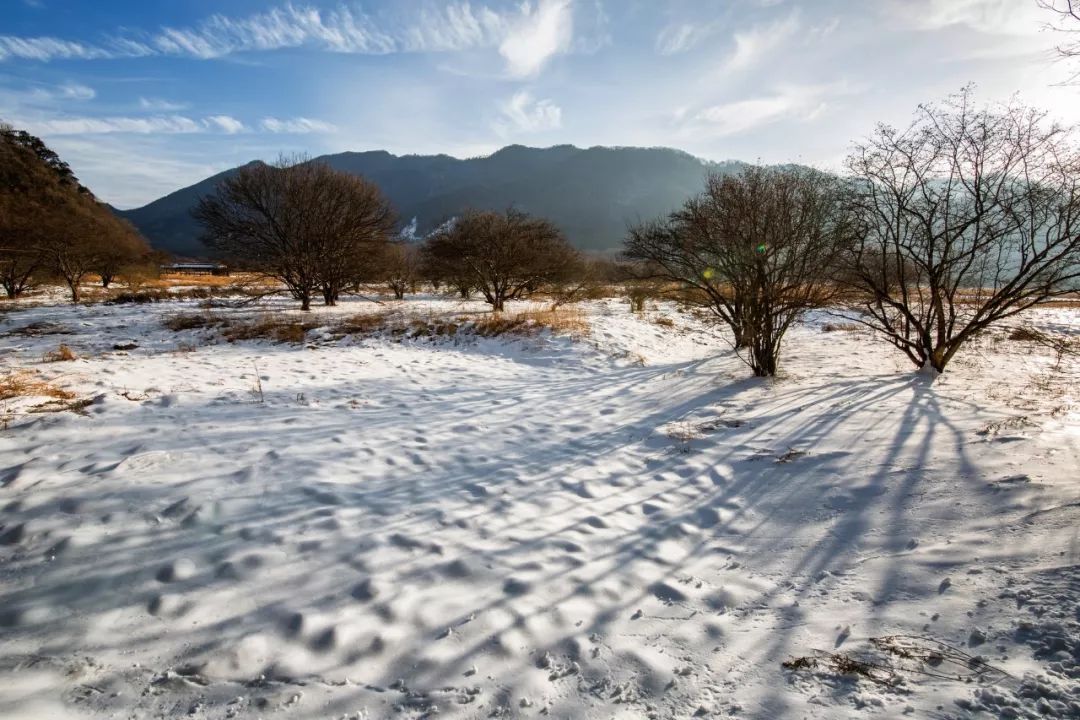 小学生描写雪的古诗20首（发朋友圈下雪幽默句子）