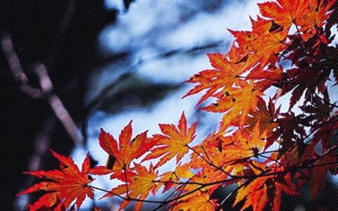 描写童年的佳句