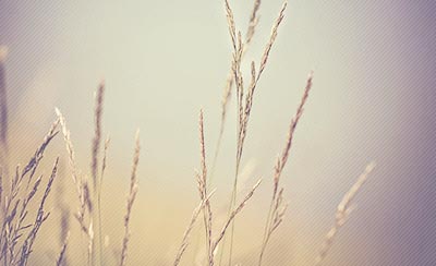 中秋节团圆的诗句