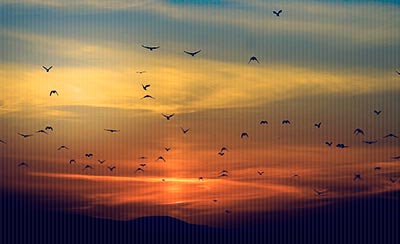 描写父亲变老的句子