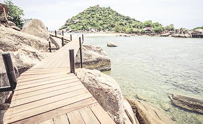 描写夏天的优美句子