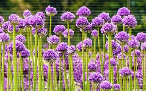 儿童节温馨的问候句子