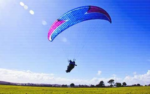 关于描写动物的佳句