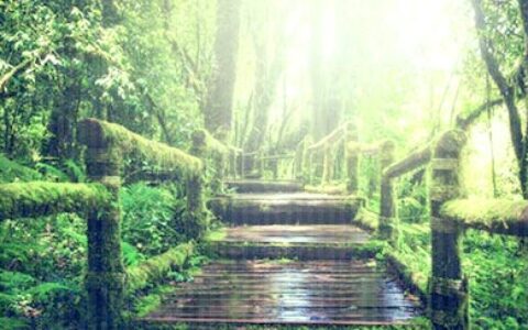 关于写景的优秀美句