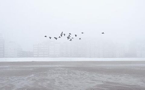 早安心语：一个微笑 一句良言