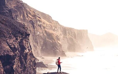 描写豆芽的优美句子