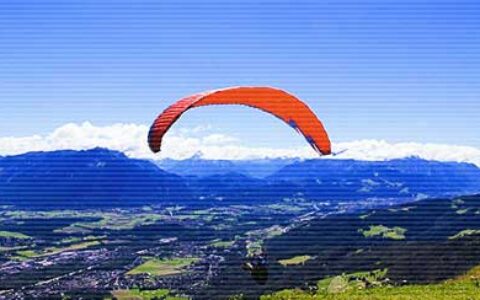 习惯一个人的经典语录