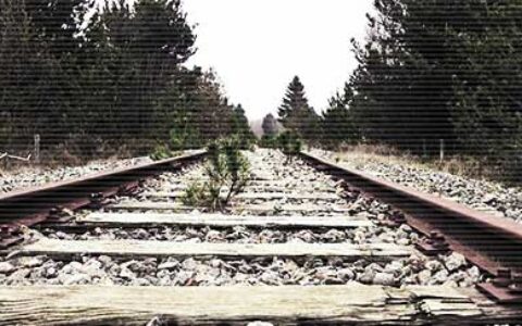 富有诗境的句子鉴赏