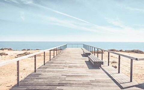 关于对爱情失望的句子